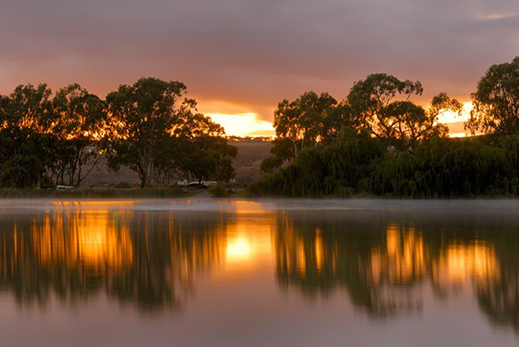 Riverview Rise Retreats Mannum Eksteriør bilde