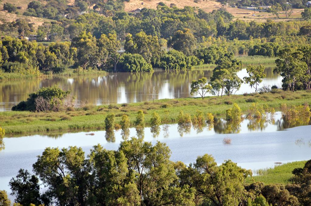 Riverview Rise Retreats Mannum Eksteriør bilde