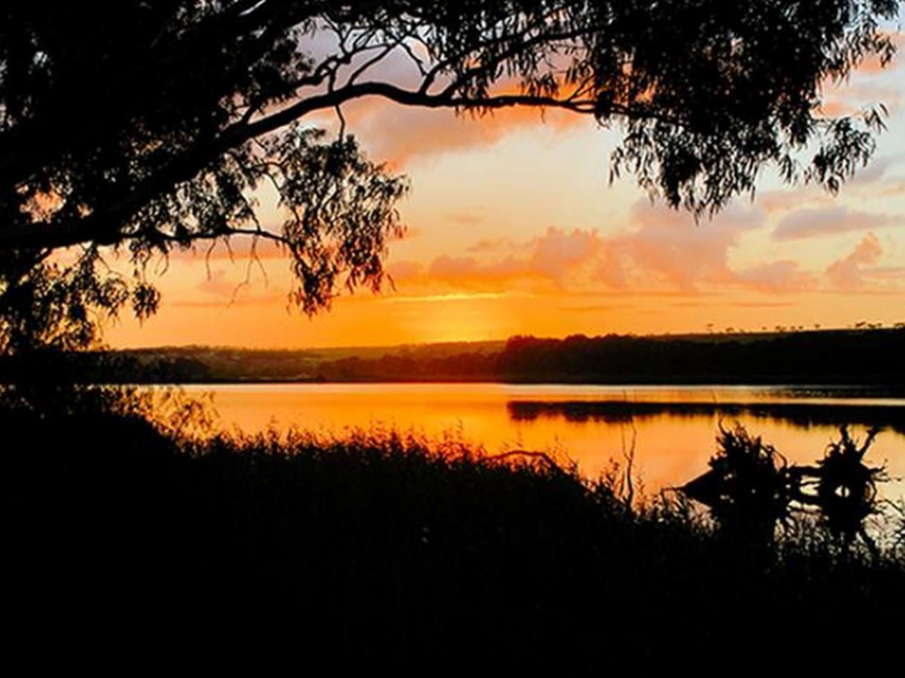 Riverview Rise Retreats Mannum Eksteriør bilde