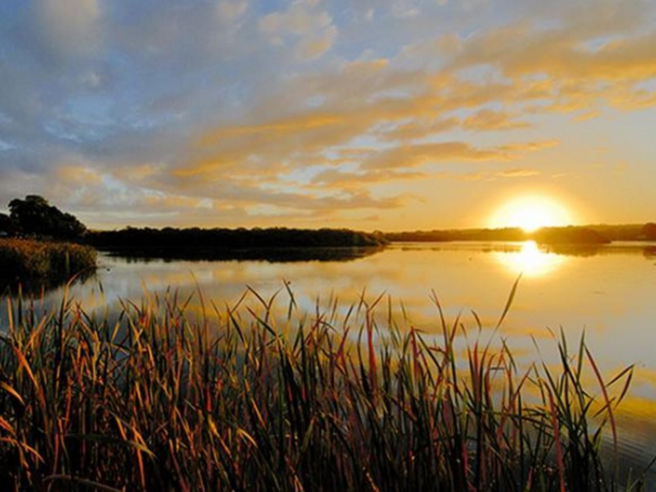 Riverview Rise Retreats Mannum Eksteriør bilde