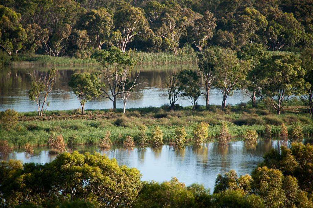 Riverview Rise Retreats Mannum Eksteriør bilde