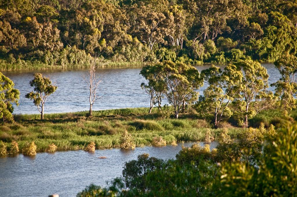 Riverview Rise Retreats Mannum Eksteriør bilde