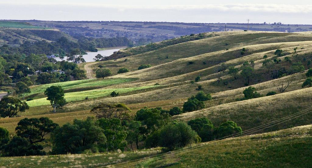 Riverview Rise Retreats Mannum Eksteriør bilde