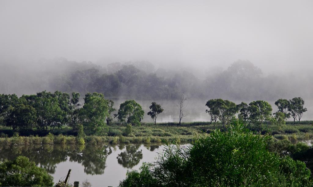 Riverview Rise Retreats Mannum Eksteriør bilde