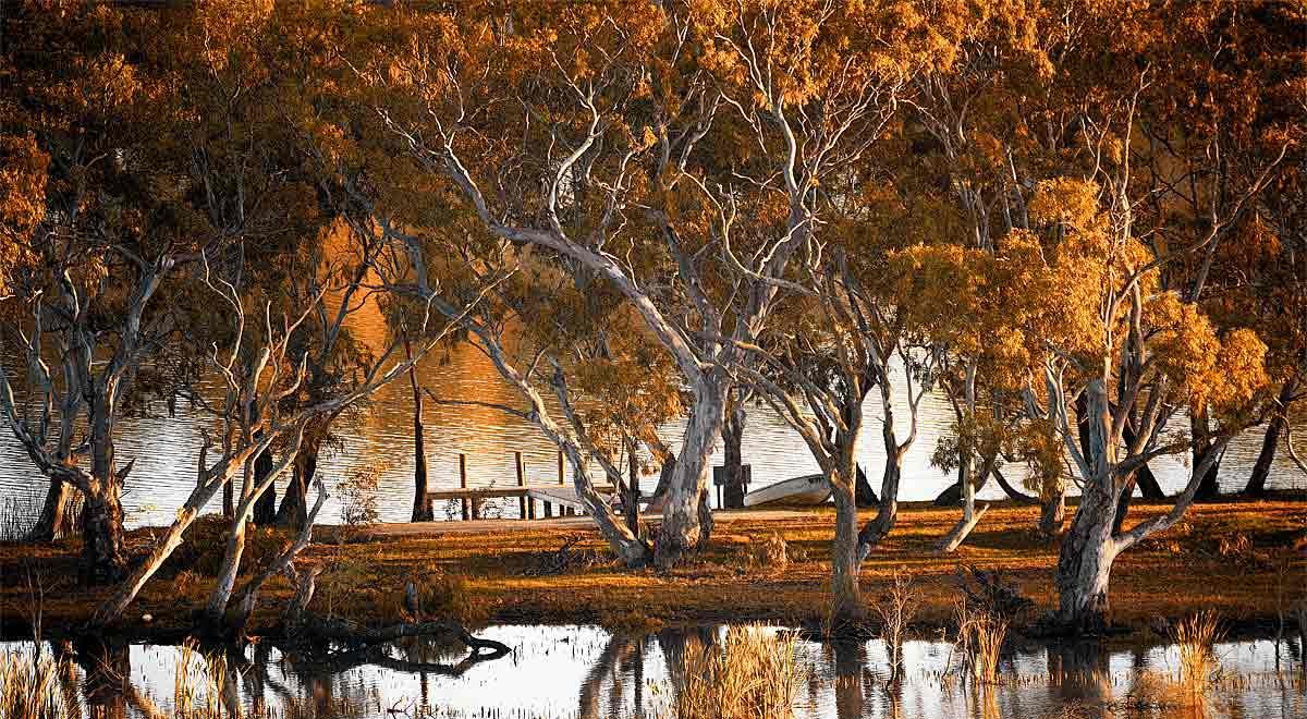 Riverview Rise Retreats Mannum Eksteriør bilde