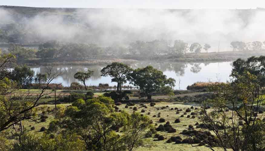 Riverview Rise Retreats Mannum Eksteriør bilde