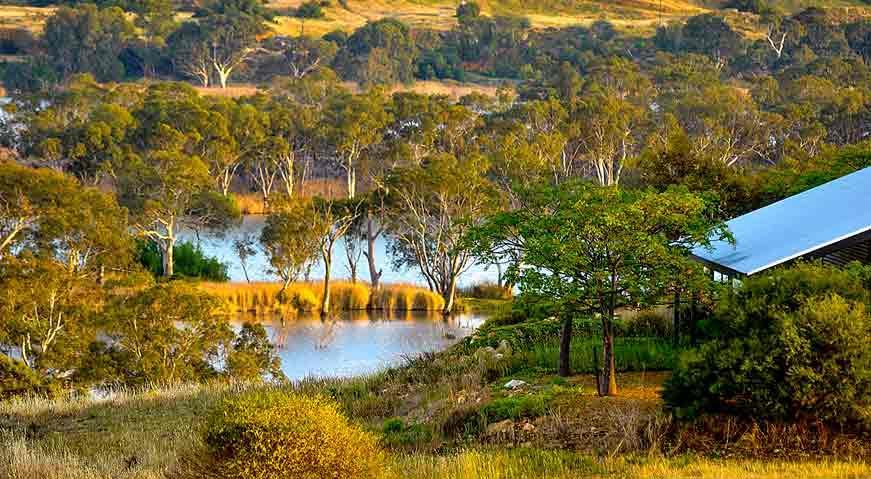 Riverview Rise Retreats Mannum Eksteriør bilde