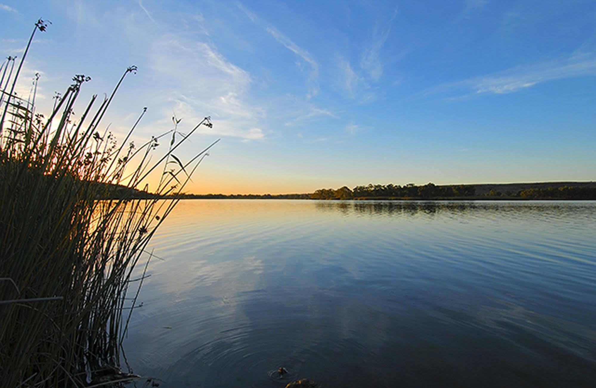 Riverview Rise Retreats Mannum Eksteriør bilde