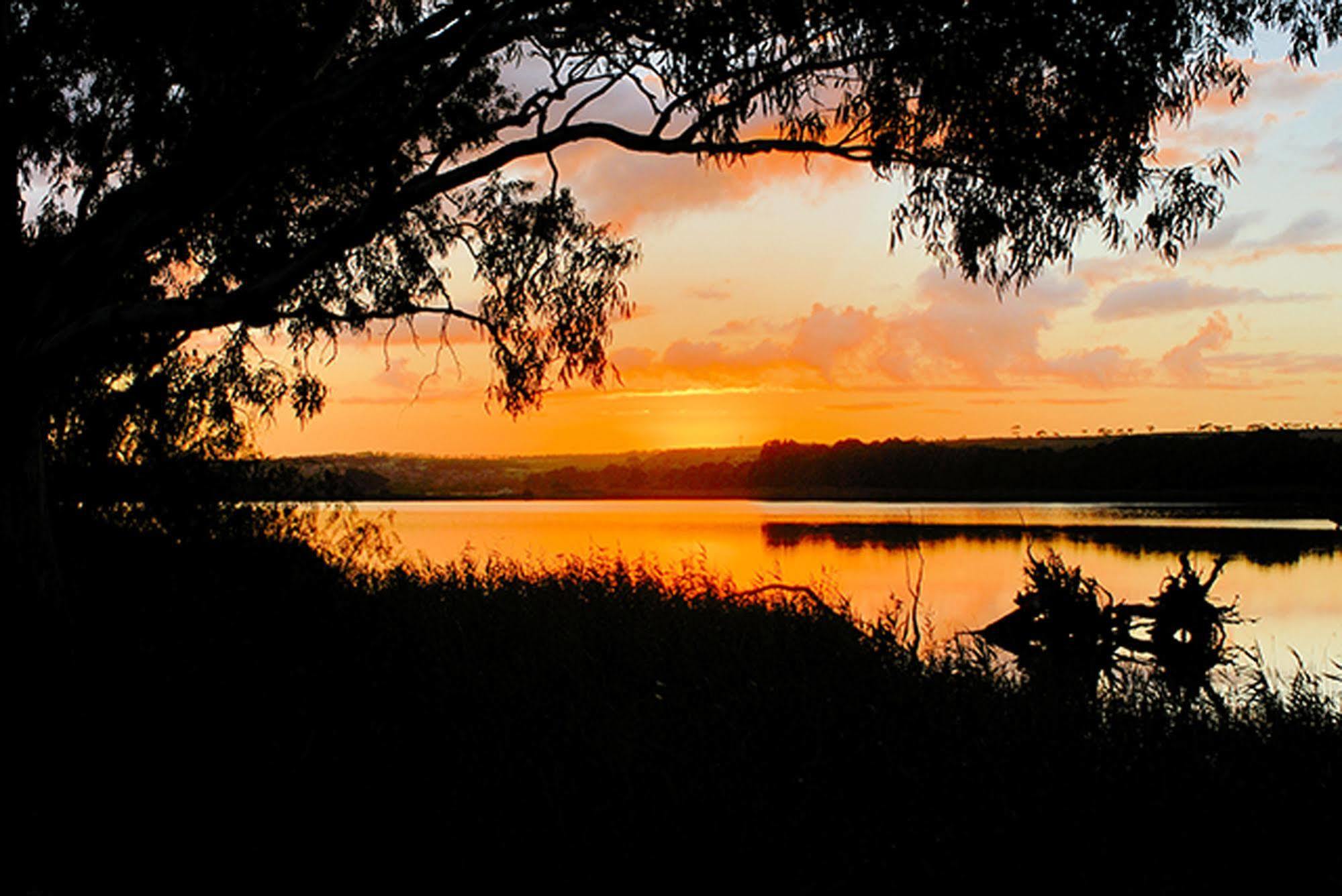 Riverview Rise Retreats Mannum Eksteriør bilde